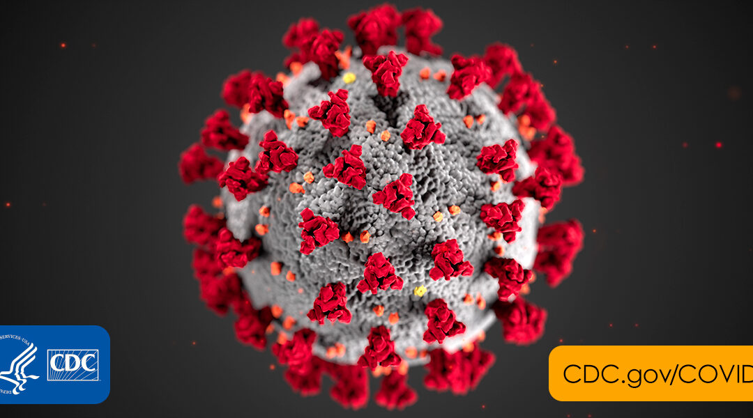Coronavirus: The Challenges of Education and Telecommuting in Nigeria